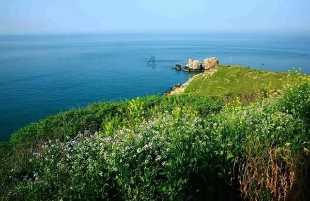 勇士吹泡泡